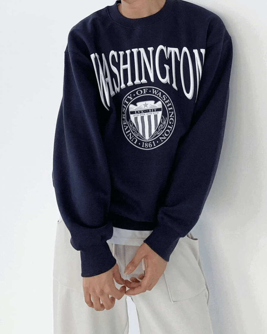 washington sweatshirts (3color)
